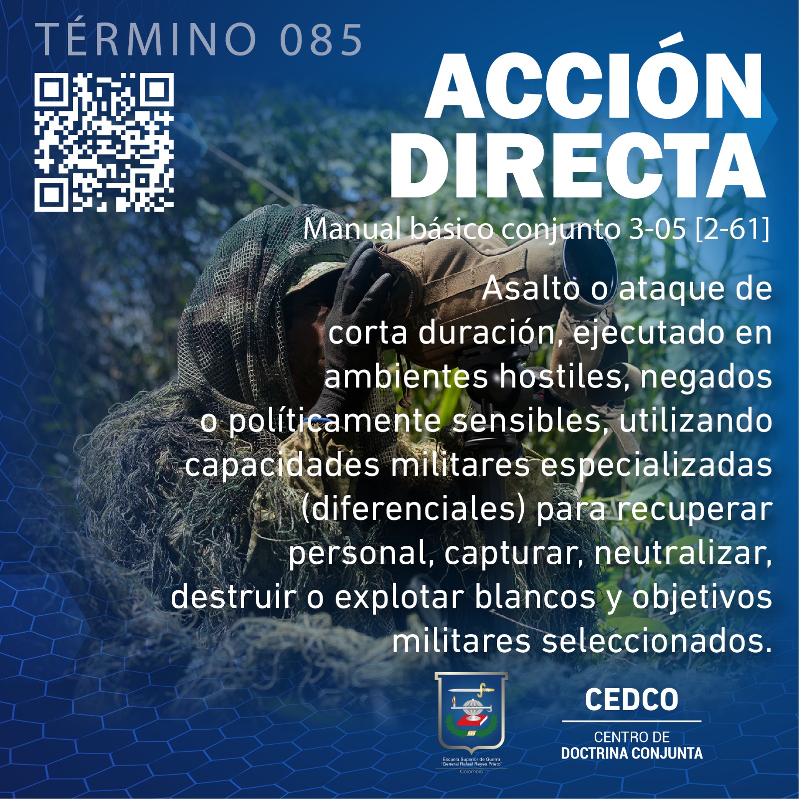Acción directa
